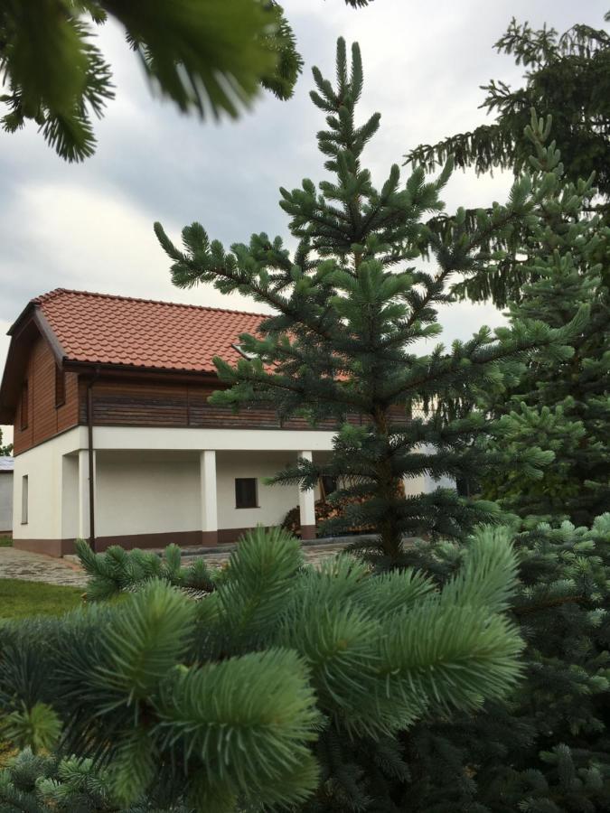 Pokoje Kasztanowa Wilkasy Dış mekan fotoğraf