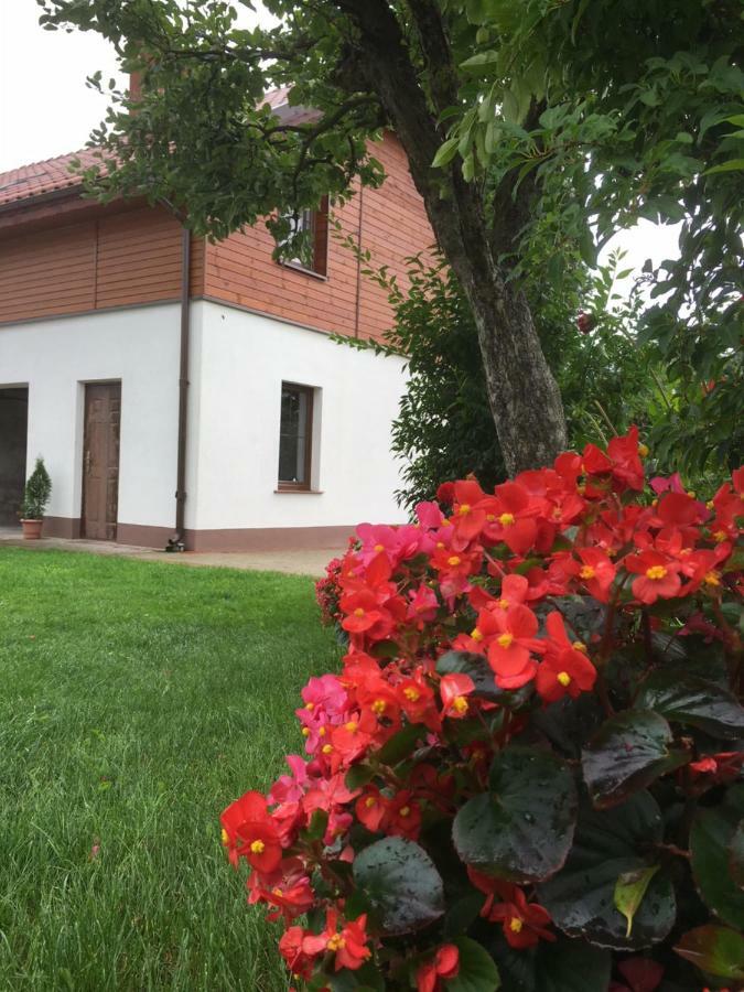 Pokoje Kasztanowa Wilkasy Dış mekan fotoğraf